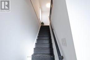 Toronto (Stonegate-Queensway) apartment for rent - 11 DAYTON AVENUE