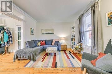Burlington (Brant) apartment for rent - A living room with a grey couch and a striped rug.