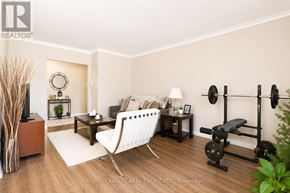Toronto (Beechborough-Greenbrook) multi-family for rent - A living room with a white chair, a black bench, and a gym set up with weights.