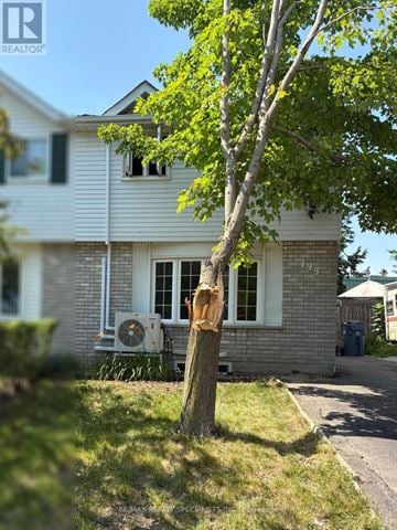 Guelph (Willow West/Sugarbush/West Acres) apartment for rent - A tree in front of a house with a window and a fan.