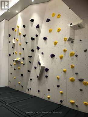 Toronto (York University Heights) condo for rent - A climbing wall with yellow and purple holds.