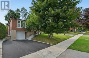 Bradford West Gwillimbury (Bradford) apartment for rent - A house with a driveway and a tree in front of it.