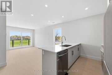 Thorold (Thorold Downtown) apartment for rent - A spacious kitchen with a dishwasher and a window overlooking a green field.