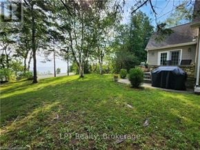 Northern Bruce Peninsula apartment for rent - A backyard with a house, trees, and a black umbrella.