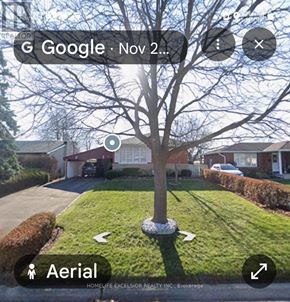 Brantford apartment for rent - A tree in a yard with a house in the background.