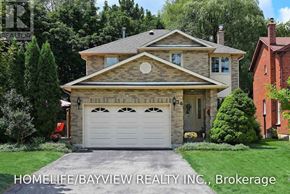Richmond Hill (South Richvale) apartment for rent - LOWER - 36 ELEANOR CIRCLE Lower