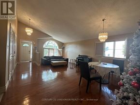 Hamilton (Mountview) apartment for rent - A living room with a Christmas tree and a dining table.