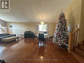 Hamilton (Mountview) apartment for rent - A living room with a Christmas tree and furniture.