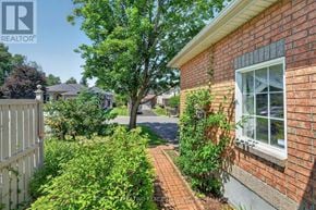 Ottawa apartment for rent - A red brick house with a white window and a tree in front.