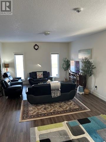 London North (North S) multi-family for rent - A living room with a black couch and a rug.