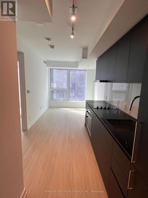 Toronto (Bay Street Corridor) condo for rent - A kitchen with black cabinets and a wooden floor.
