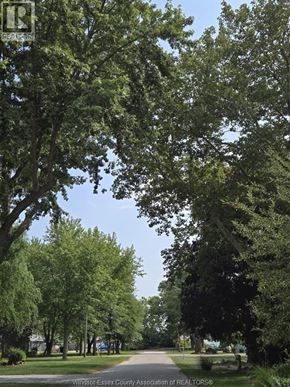Colchester apartment for rent - A tree-lined street with a sign for the Windsor-Essex County Association of REALTORS.