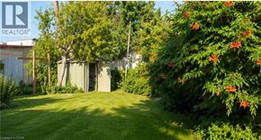 Hamilton apartment for rent - A green lawn with a shed and trees in the background.