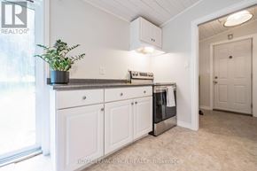 Orangeville apartment for rent - A kitchen with white cabinets and a plant on the counter.