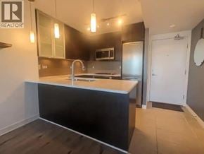 Burnaby apartment for rent - A modern kitchen with a dark countertop and a white sink.