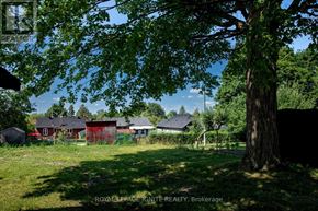 Toronto (Downsview-Roding-Cfb) apartment for rent - A tree in a yard with a house in the background.