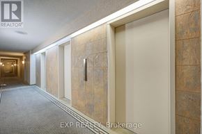 Toronto (Don Valley Village) condo for rent - A hallway with a carpeted floor and tiled walls.