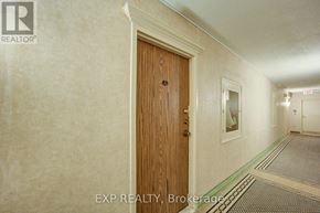 Toronto (Don Valley Village) condo for rent - A hallway with a wooden door and a green stripe on the floor.
