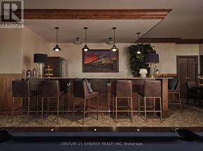Smiths Falls condo for rent - A bar area with a painting hanging on the wall and a green plant on the side.