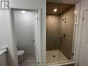 East Gwillimbury (Holland Landing) apartment for rent - A bathroom with a toilet and a walk-in shower.