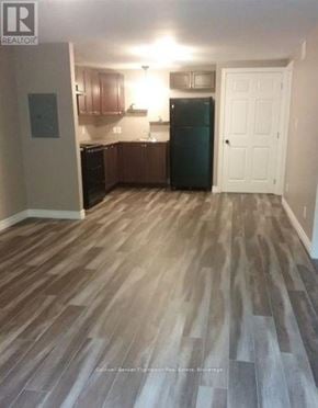 Huntsville (Chaffey) triplex for rent - A kitchen with wooden flooring and a white door.
