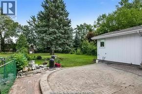 Windsor apartment for rent - A backyard with a white shed and a brick patio.