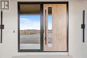 Amaranth apartment for rent - A modern door with a glass window showing a view of a parking lot.