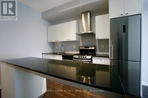 Toronto (Niagara) condo for rent - A modern kitchen with a black countertop and stainless steel appliances.