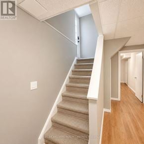 Richmond Hill (North Richvale) townhouse for rent - A staircase with beige carpeted steps and white railings.