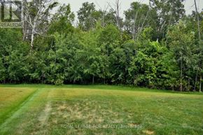 Georgina (Sutton & Jackson's Point) apartment for rent - A grassy field with trees in the background.