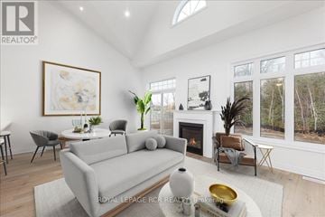 Georgina (Sutton & Jackson's Point) apartment for rent - A living room with a grey sofa and a fireplace.