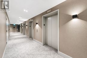 Toronto (South Parkdale) condo for rent - A long hallway with white doors and a carpeted floor.