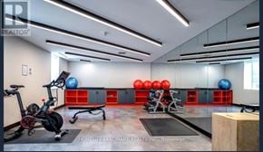 Toronto (Mount Pleasant West) condo for rent - A gym with a stationary bike, a row of red and blue exercise balls, and a bench press setup.