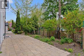 Toronto (Greenwood-Coxwell) apartment for rent - A backyard with a paved walkway and a variety of trees.