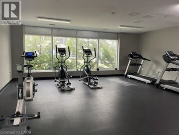 Waterloo condo for rent - A gym with treadmills, elliptical machines, and a rowing machine.