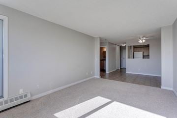 Edmonton apartment for rent - A spacious living room with a rug on the floor and a window on the left side.