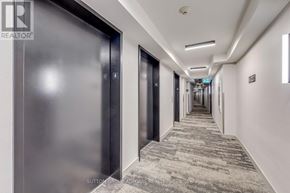 Toronto (Clanton Park) condo for rent - A hallway with a carpeted floor and doors on both sides.