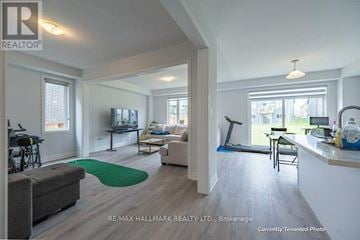 Wasaga Beach apartment for rent - A living room with a grey couch and a green rug.