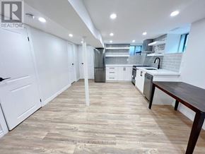 Toronto (Dovercourt-Wallace Emerson-Junction) apartment for rent - LOWER - 3 ROBLOCKE AVENUE Lower