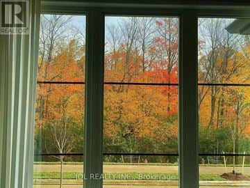 Markham (Cornell) apartment for rent - A window with a view of a forest of trees with orange leaves.