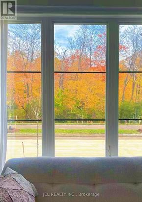 Markham (Cornell) apartment for rent - A window with a view of a forest with autumn trees.