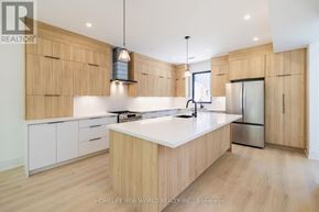 Toronto (Dovercourt-Wallace Emerson-Junction) duplex for rent - LANEWAY - 679 GLADSTONE AVENUE Laneway