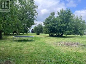 East Gwillimbury apartment for rent - A green lawn with a trampoline in the middle.