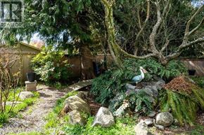 Delta apartment for rent - A garden with a large tree and a bird on a rock.