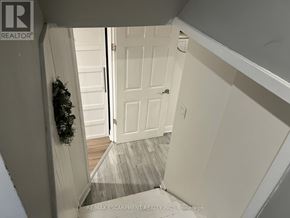 Hamilton (Sunninghill) apartment for rent - A hallway with a door and a plant on the wall.
