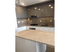 Burnaby apartment for rent - A kitchen with a marble countertop and grey cabinets.