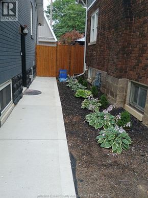 Windsor apartment for rent - A small garden with a white pathway and a blue barrel.