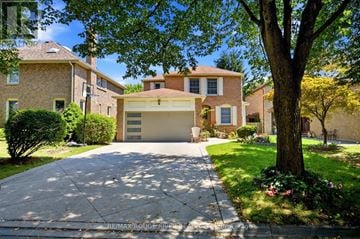 Ajax (Central West) apartment for rent - BASEMENT - 38 HETTERSLEY DRIVE Basement