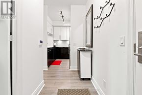 Toronto (Mimico) condo for rent - A hallway with a red rug and a framed picture on the wall.