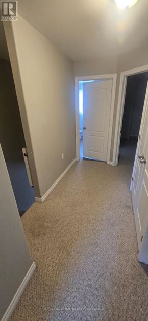 Kingston (City Northwest) townhouse for rent - A hallway with a carpeted floor and a white door.